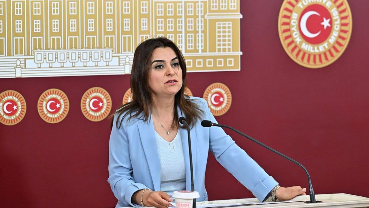 Gülistan Kılıç Koçyiğit-2