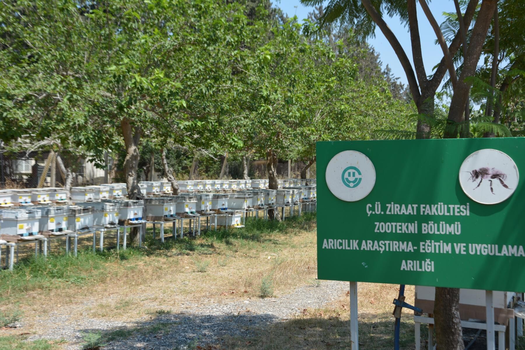 Ayhan Barut Ciftlik Borc Tepki (1)