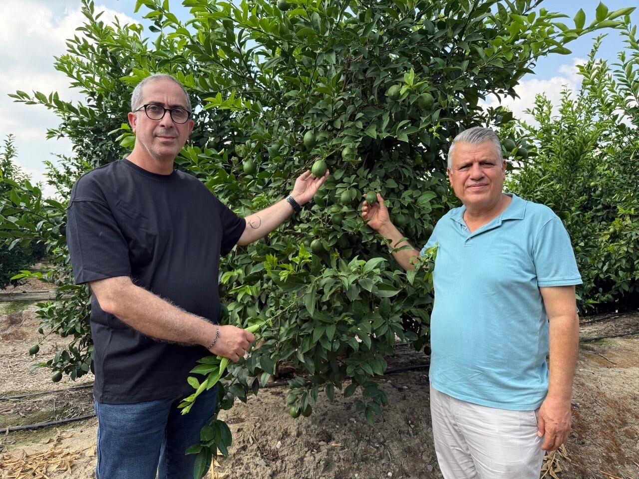 Ayhan Barut Limon Fiyat Tepki Bahce (1)