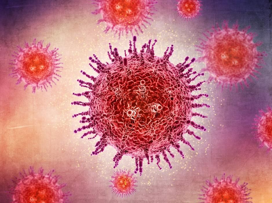 H P V Human Papilloma Virus 132157830