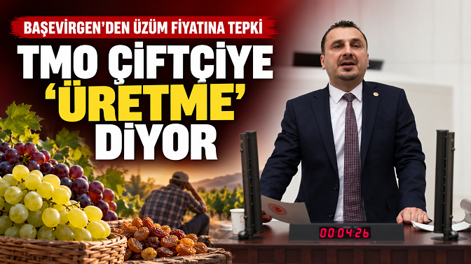 Başevirgen: “TMO’nun Üzüm Fiyatı Çiftçiye ‘Üretme’ Demektir”