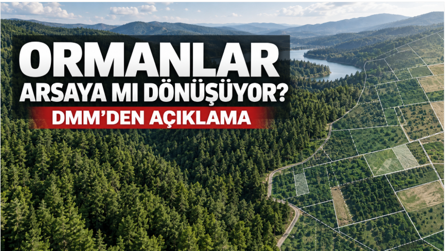 “Ormanlar Arsaya Dönüştürülüyor” İddiasına DMM’den Açıklama