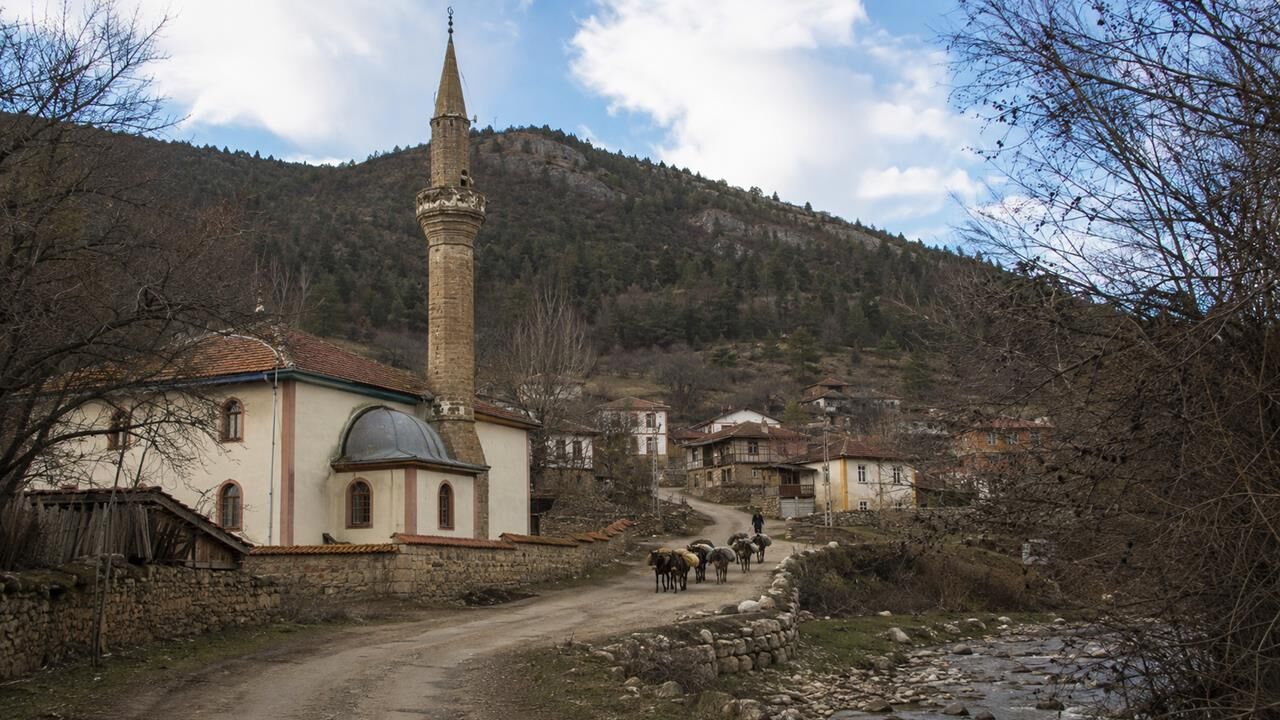 İpek Yolu Üzerinde Bir Durak: Seydiler’in Hanlar ve Minare Etrafında Kurulan Hafızası